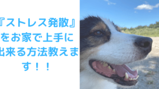 ストレス発散アイキャッチ