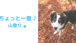 山登アイキャッチ