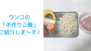 手作りご飯アイキャッチ