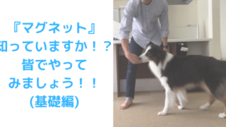 マグネット基礎編