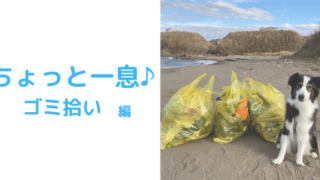 ゴミ拾いアイキャッチ