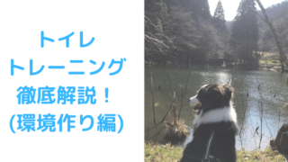 トイレ環境作り編アイキャッチ