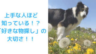 好きな物探し大切さアイキャッチ