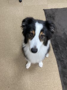 アイコンタクト目線