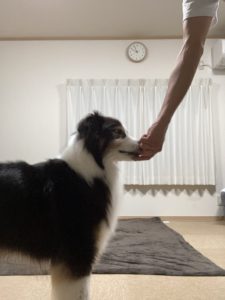 オヤツ嗅がせる