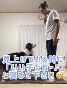 アイコンタクトタイミングOK