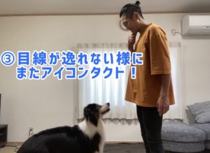 アイコンタクトデモ③