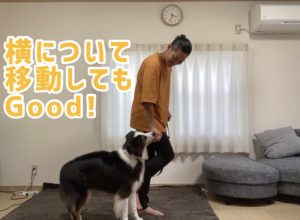 横に付いて歩く