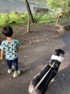 四男坊と散歩③