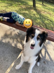 四男坊と散歩⓵