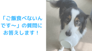 ご飯食べないんです