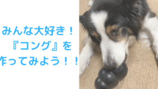 コングアイキャッチ画像