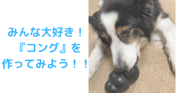 コングアイキャッチ画像