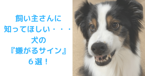 サインアイキャッチ画像