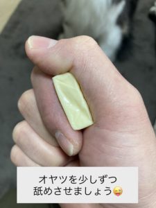 触る練習オヤツ