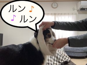 突っ込む画像⑤