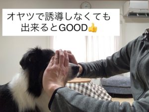 突っ込む画像⑦