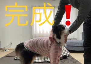 突っ込む画像⑬