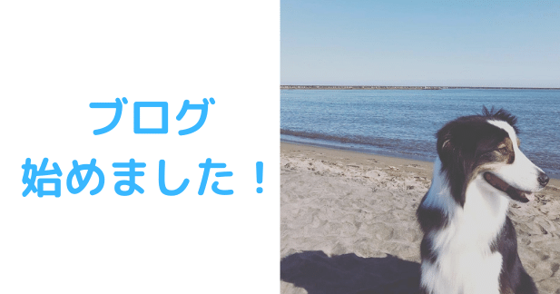 ブログ始めましたアイキャッチ