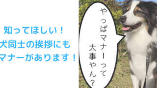 挨拶聞いてのアイキャッチ
