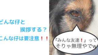 どんな仔と挨拶するのアイキャッチ