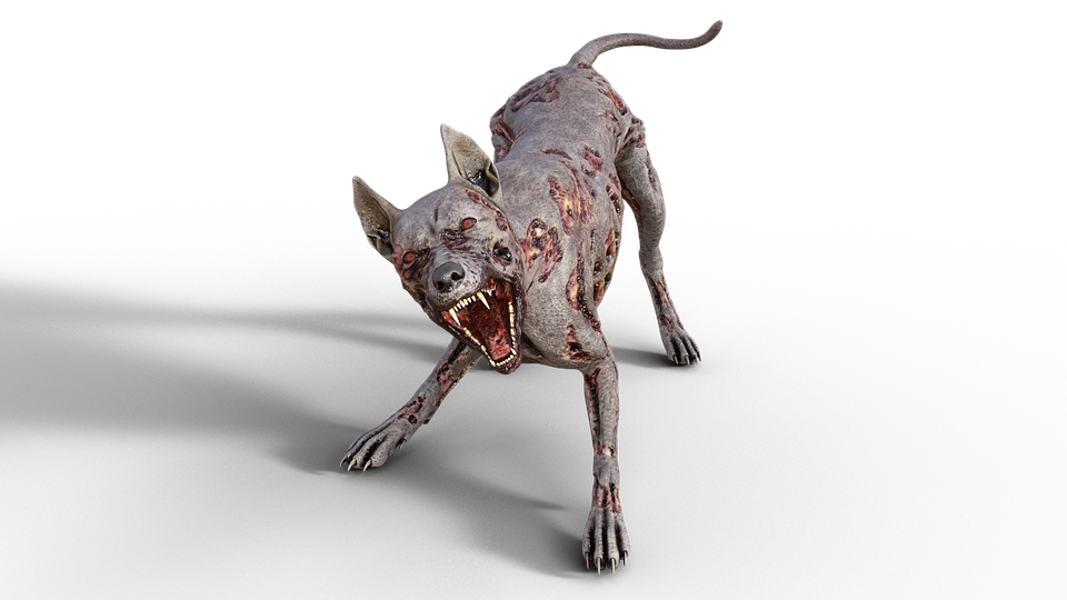 どんな仔と挨拶する③