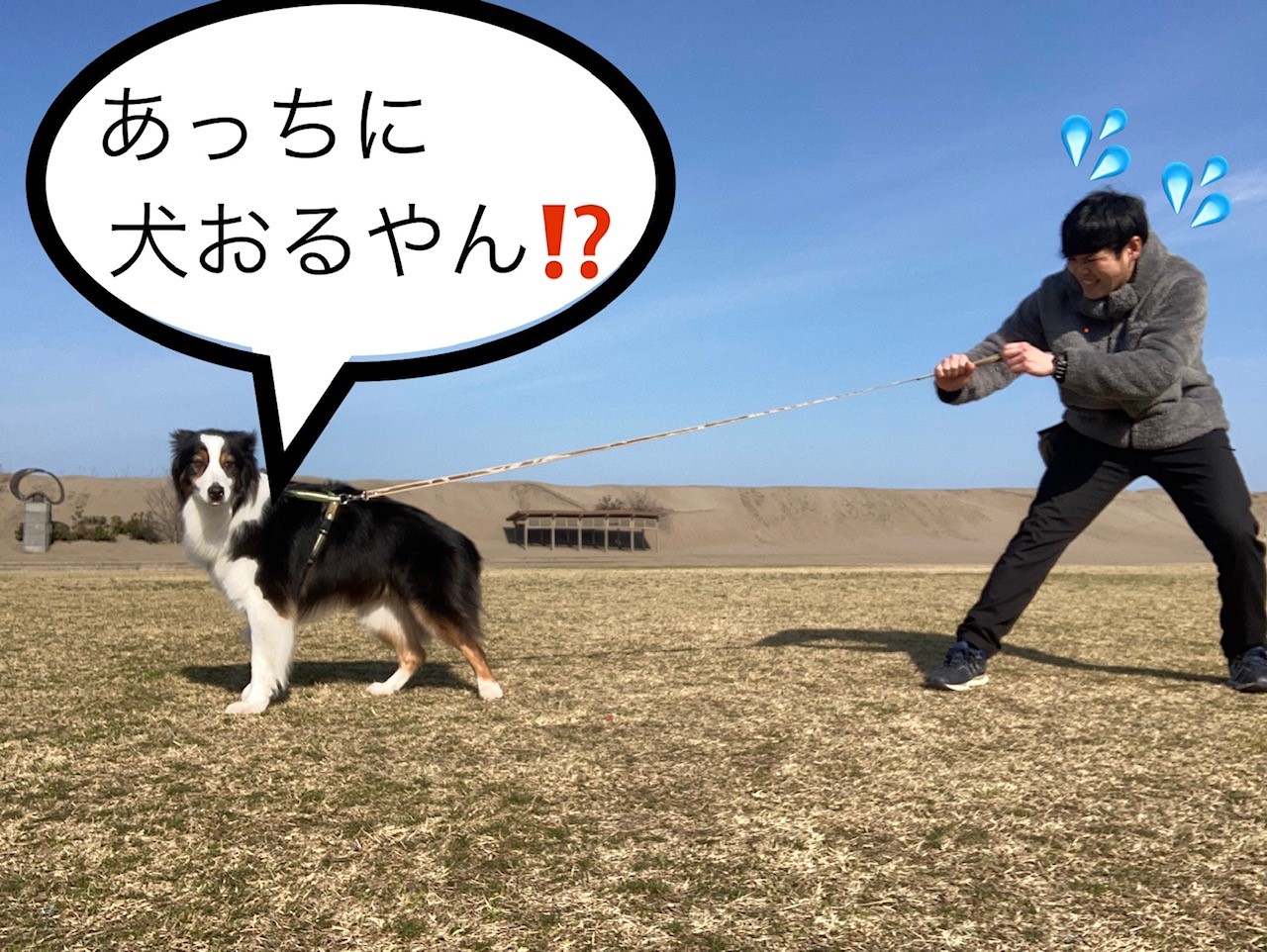 どんな仔と挨拶する④