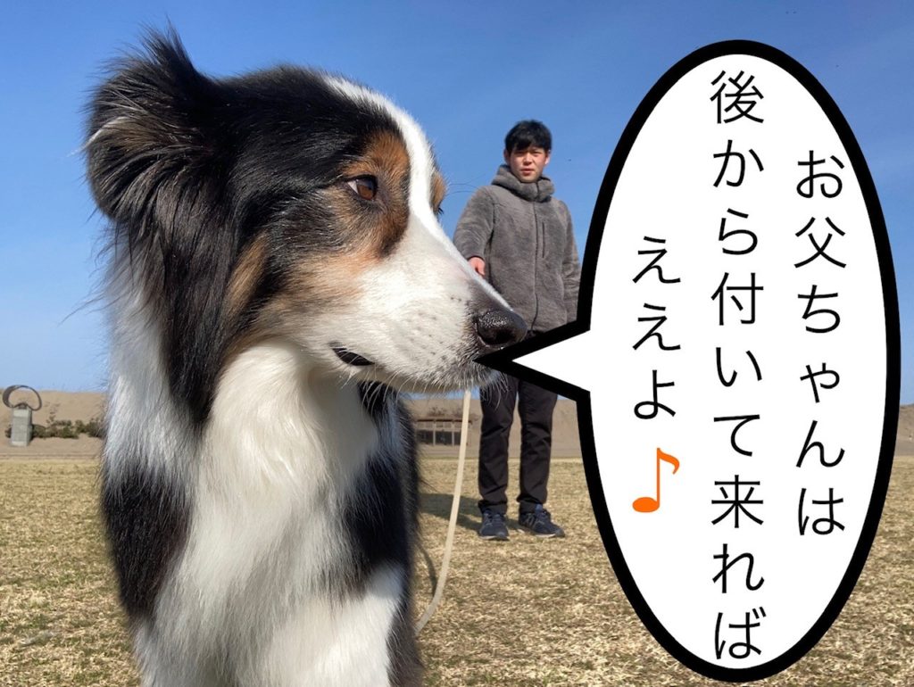 どんな仔と挨拶する⑤