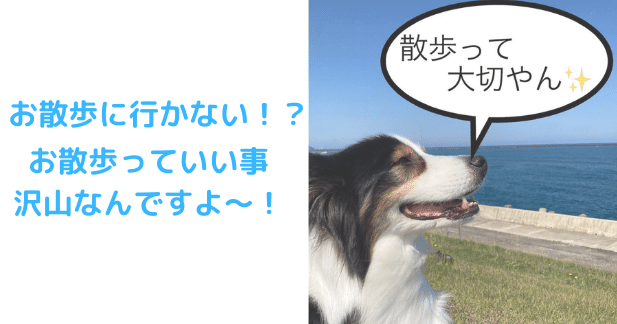 お散歩７選のアイキャッチ