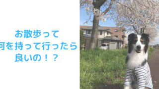 お散歩持ち物アイキャッチ