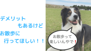 お散歩デメリットアイキャッチ
