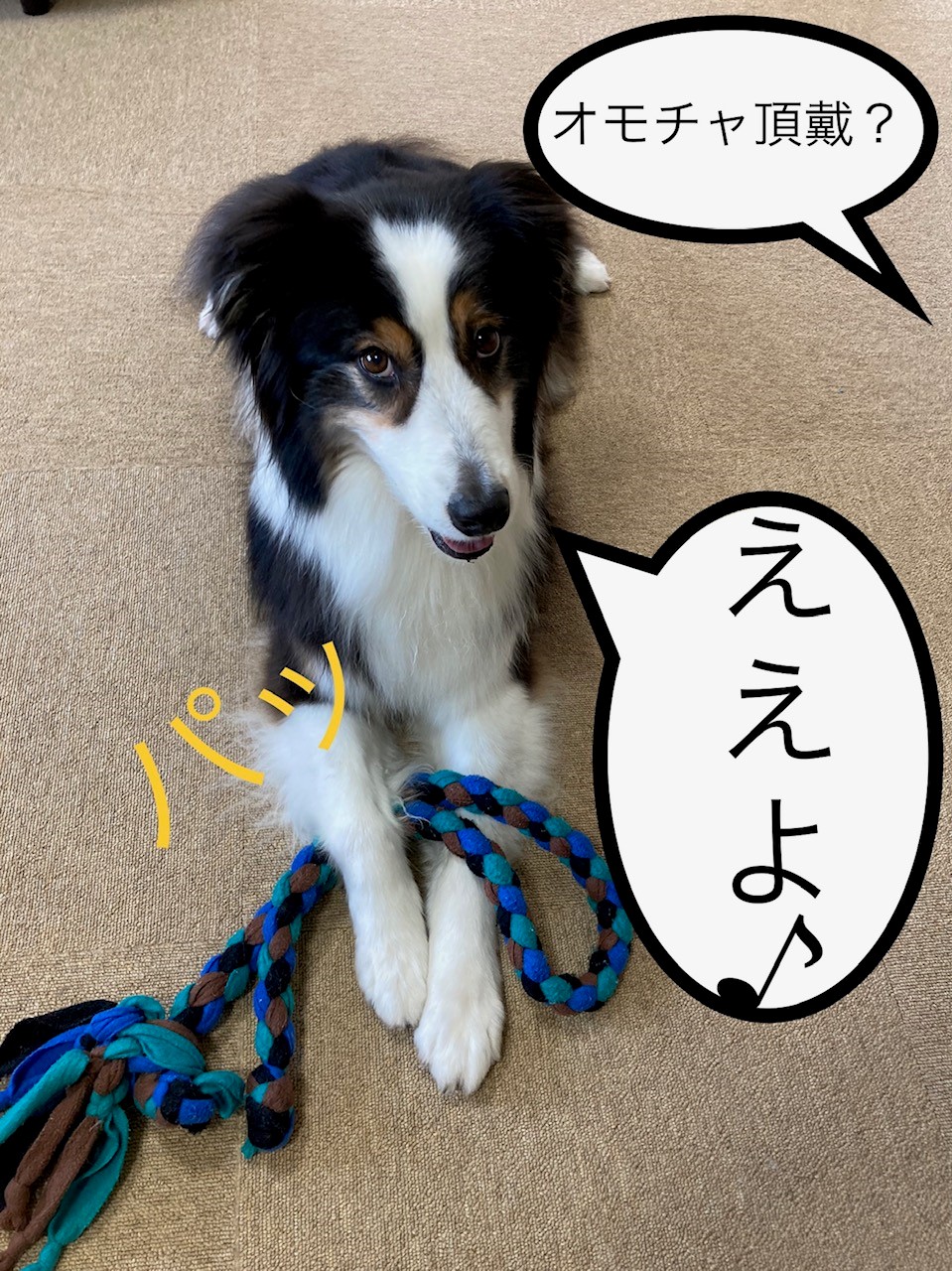 引っ張りっこ②