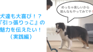 引っ張りっこのアイキャッチ③