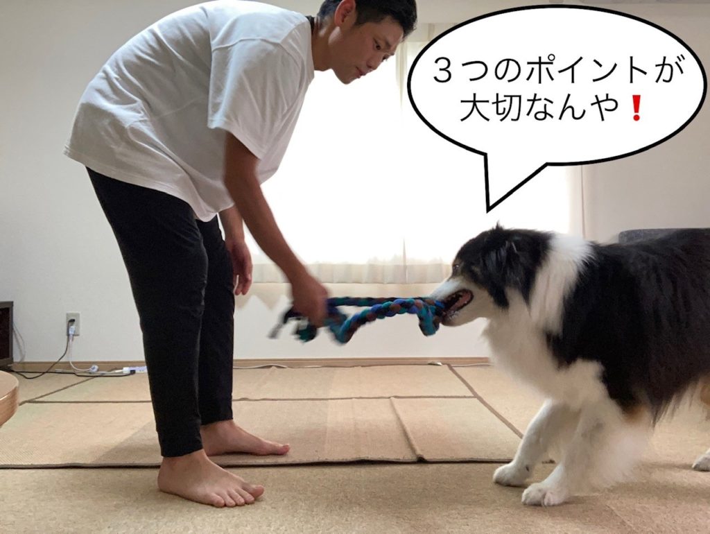 引っ張りっこ⑧