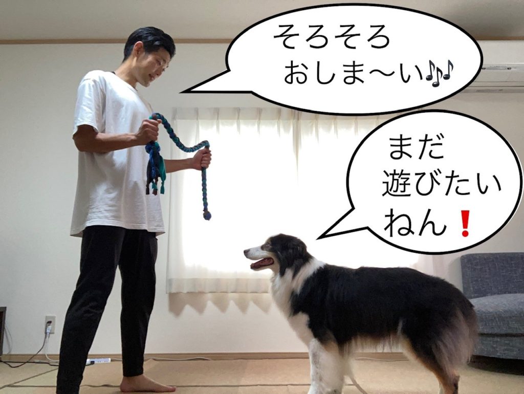 引っ張りっこ⑮