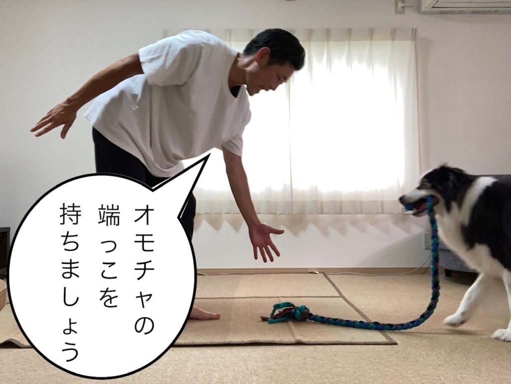 引っ張りっこ⑪