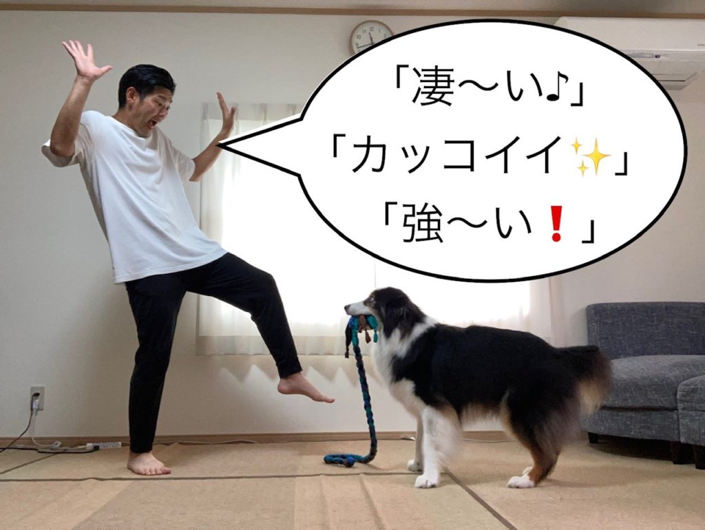 引っ張りっこ⑩