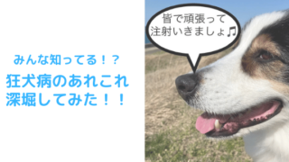 狂犬病アイキャッチ