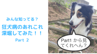 狂犬病②アイキャッチ