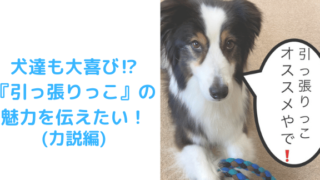 引っ張りっこのアイキャッチ①